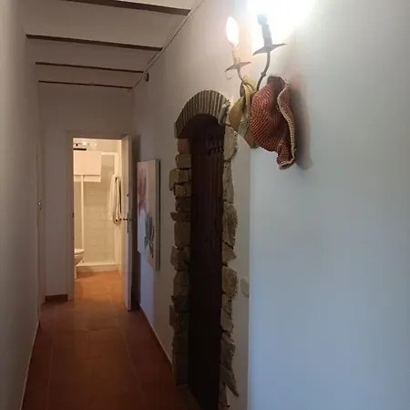 El Anexo *